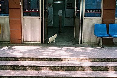 Fami通新一周销量榜 《皮克敏4》三连冠